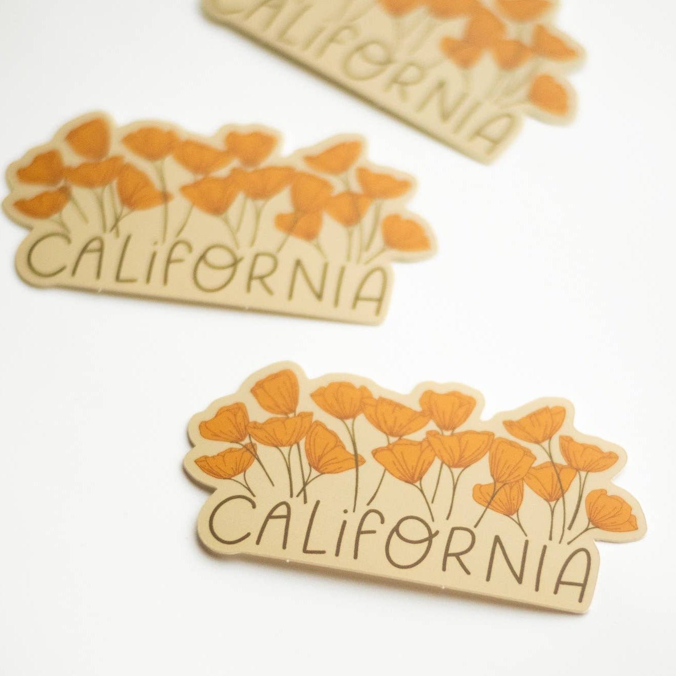 California Growing Poppy Flower Vinyl Sticker - Wander Together Outfitters