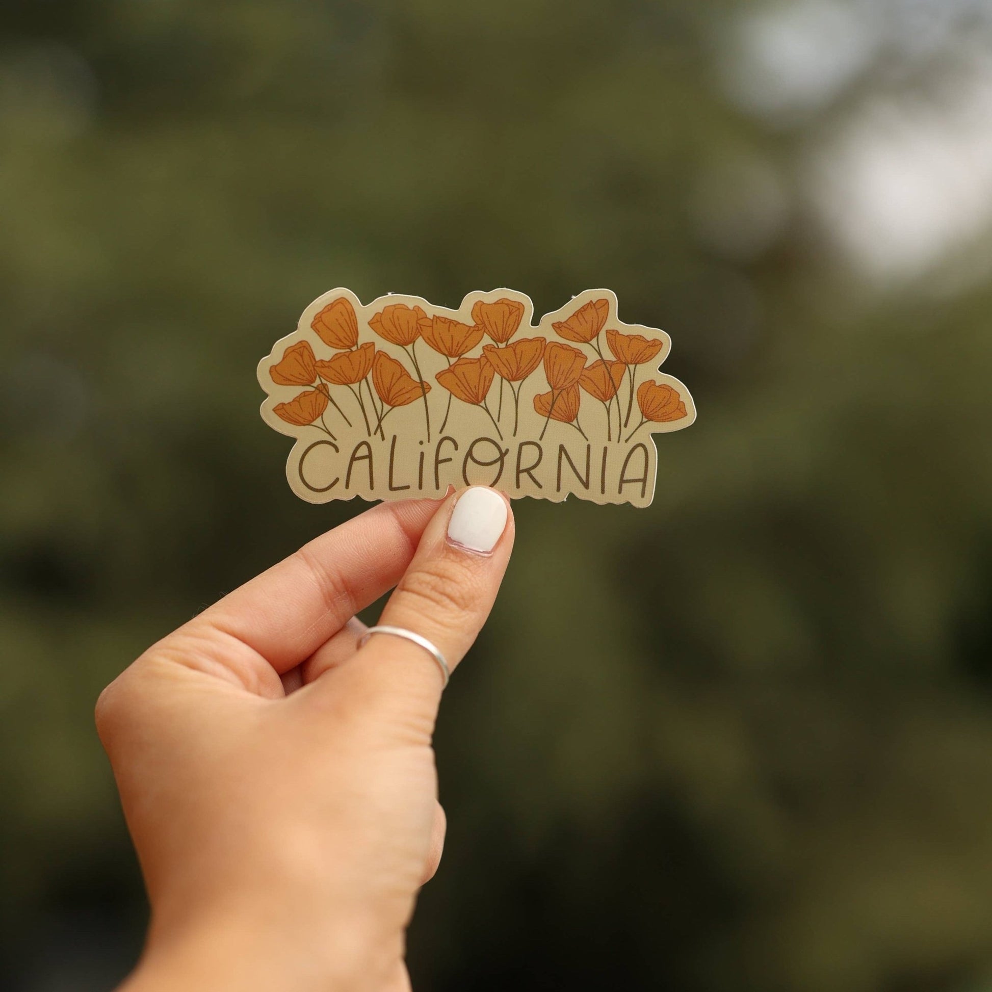 California Growing Poppy Flower Vinyl Sticker - Wander Together Outfitters