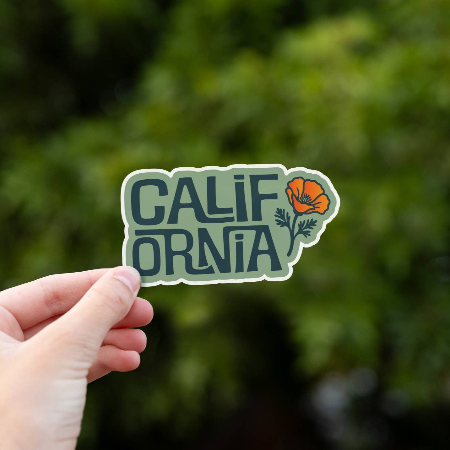 California Poppy Sticker - Wander Together Outfitters