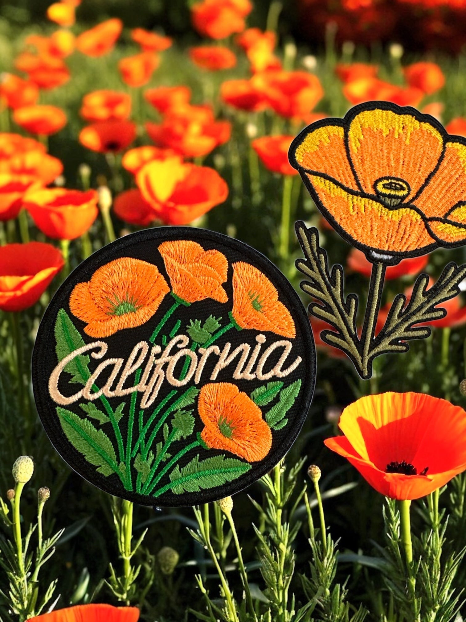 California Poppy Themed Patches Collection (Various) - Wander Together Outfitters