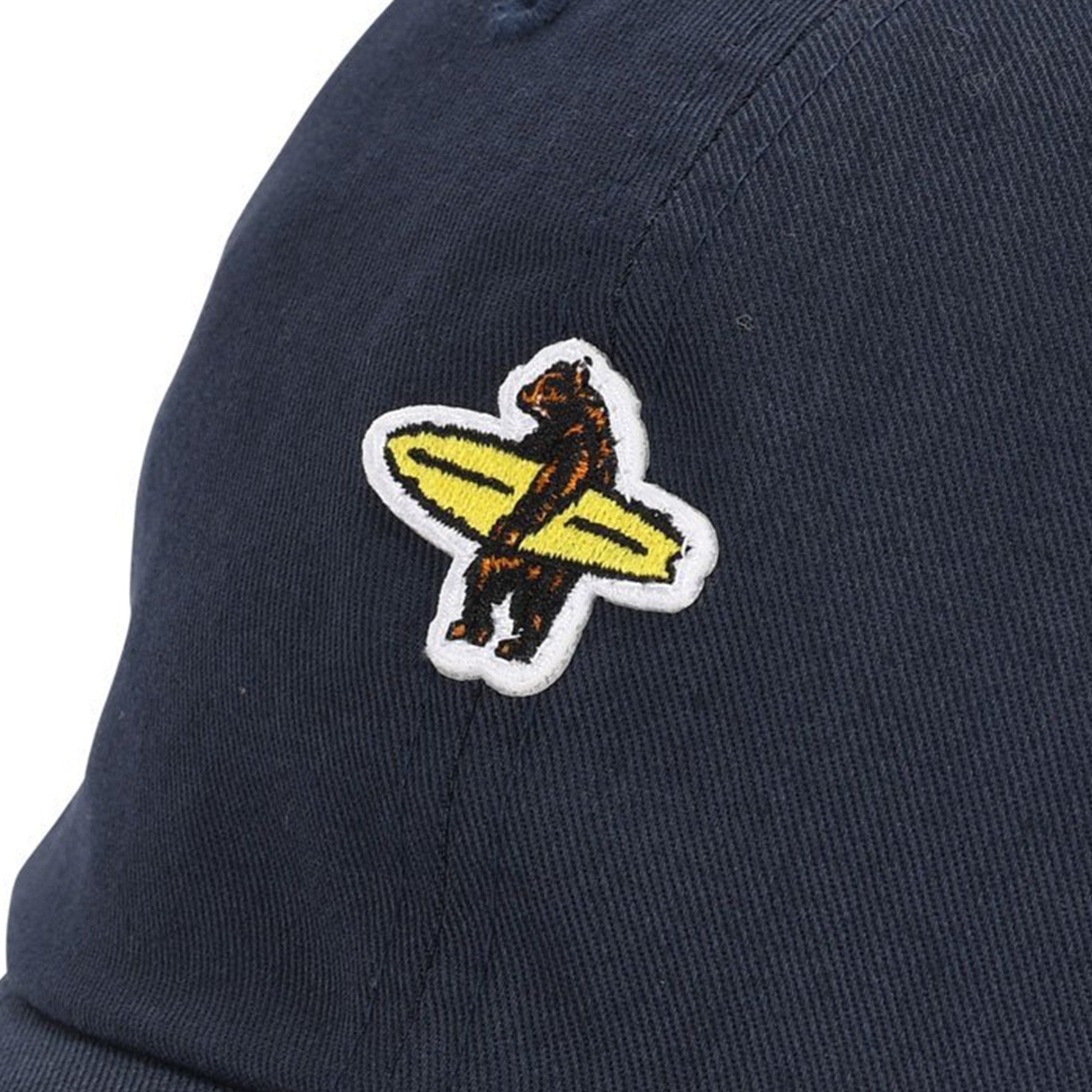 California Surfer Bear Dad Hat - Wander Together Outfitters