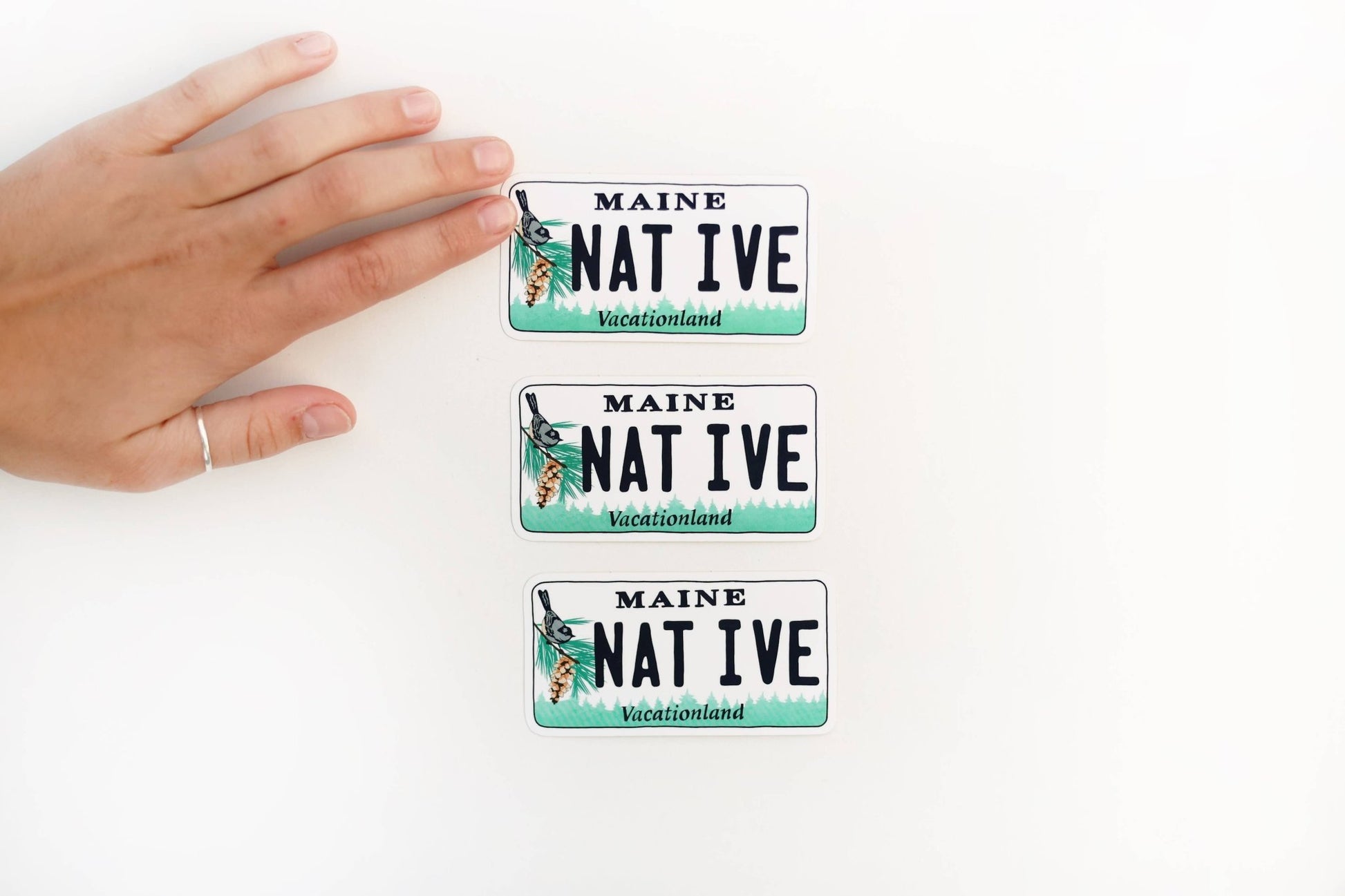 Colorful "Native" State License Plate Stickers - Wander Together Outfitters