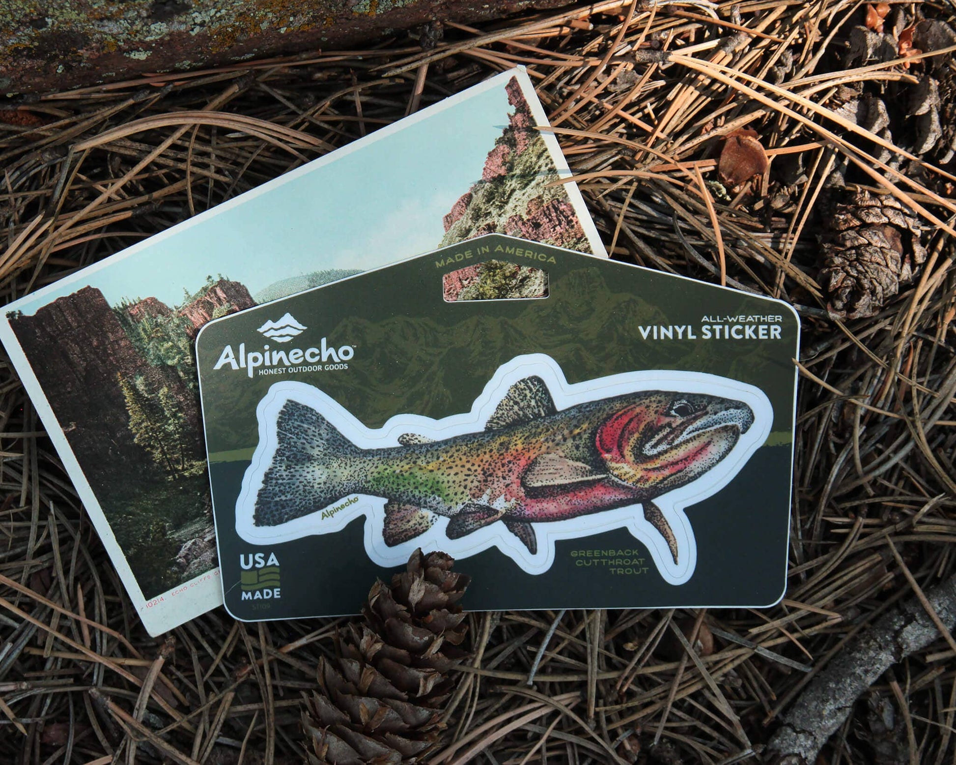 Cutthroat Trout Sticker - Wander Together Outfitters