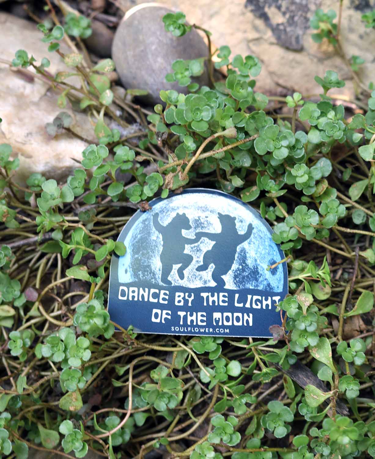 Dance By The Light Of The Moon Bears Sticker - Wander Together Outfitters