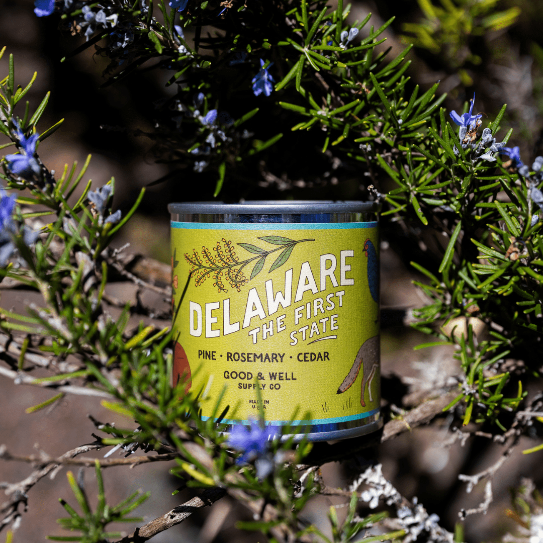 Delaware State Candle (Pine, Rosemary, Cedar) - Wander Together Outfitters