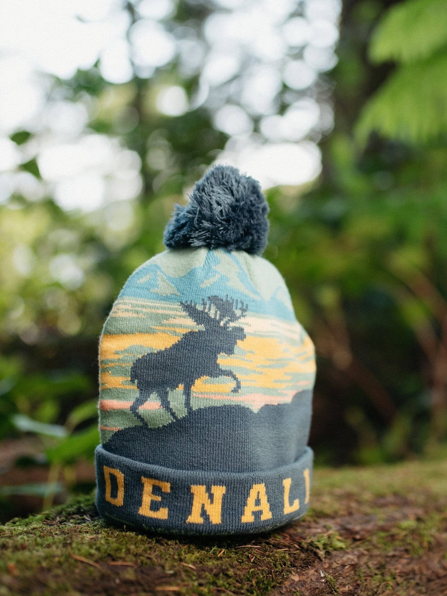 Denali National Park PomPom Beanie - Wander Together Outfitters