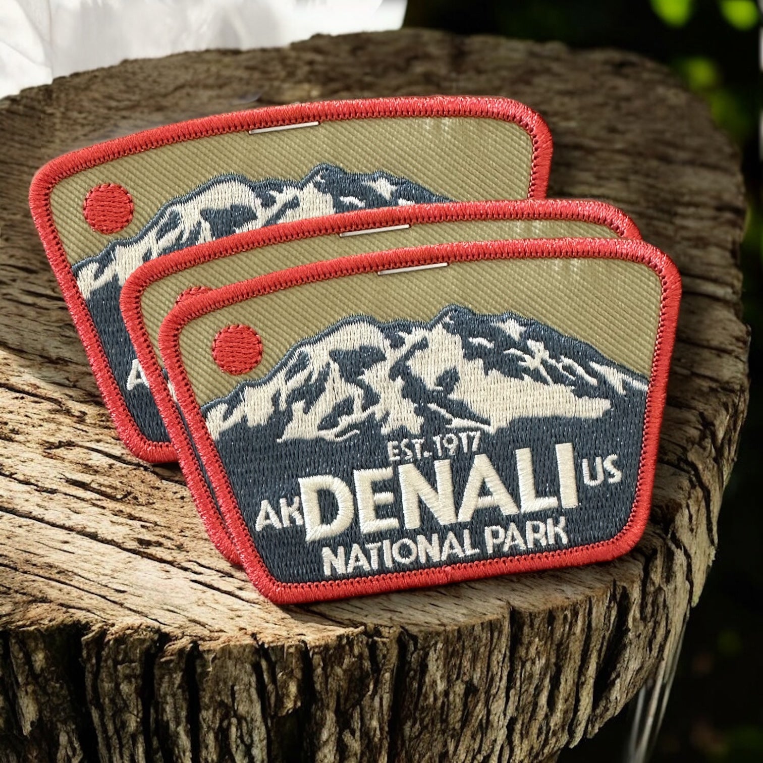 Denali National Park Standard Patch - Wander Together Outfitters