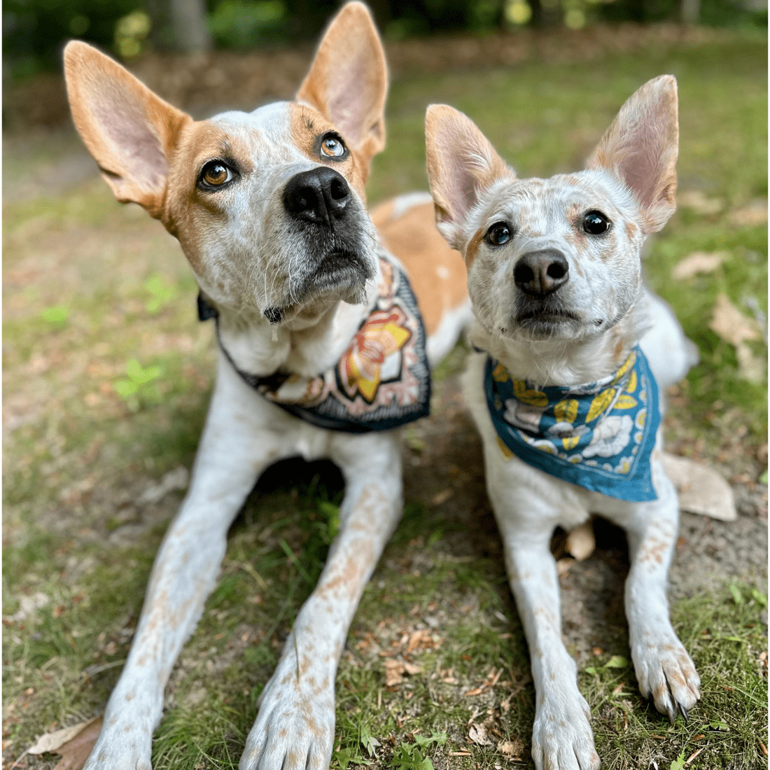 Elsie Bandana - Wander Together Outfitters