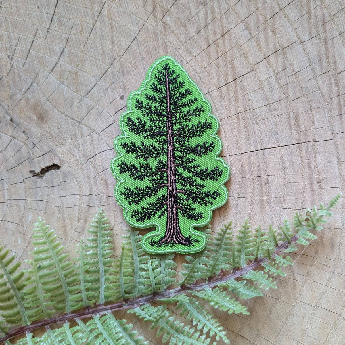 A green embroidered pine tree patch with black stitched branches and trunk, placed on a natural wood slice background with a green fern leaf across the bottom.