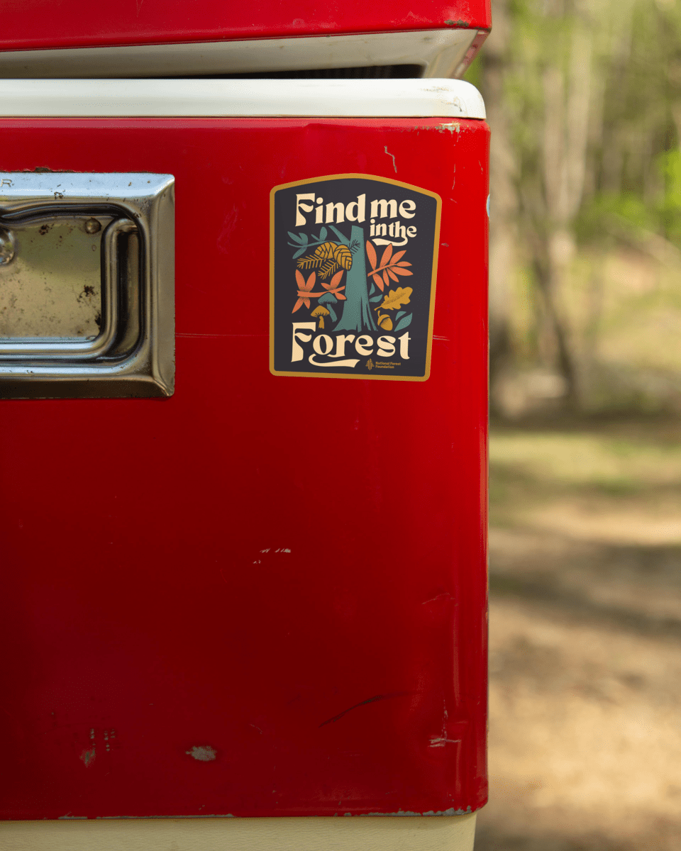 "Find Me in the Forest" Sticker - Wander Together Outfitters