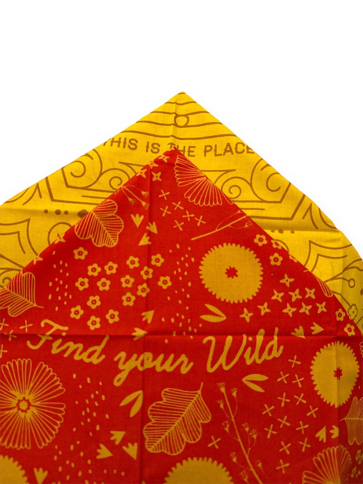 “Find Your Wild” Road Trip Bandana (CLEARANCE) - Wander Together Outfitters