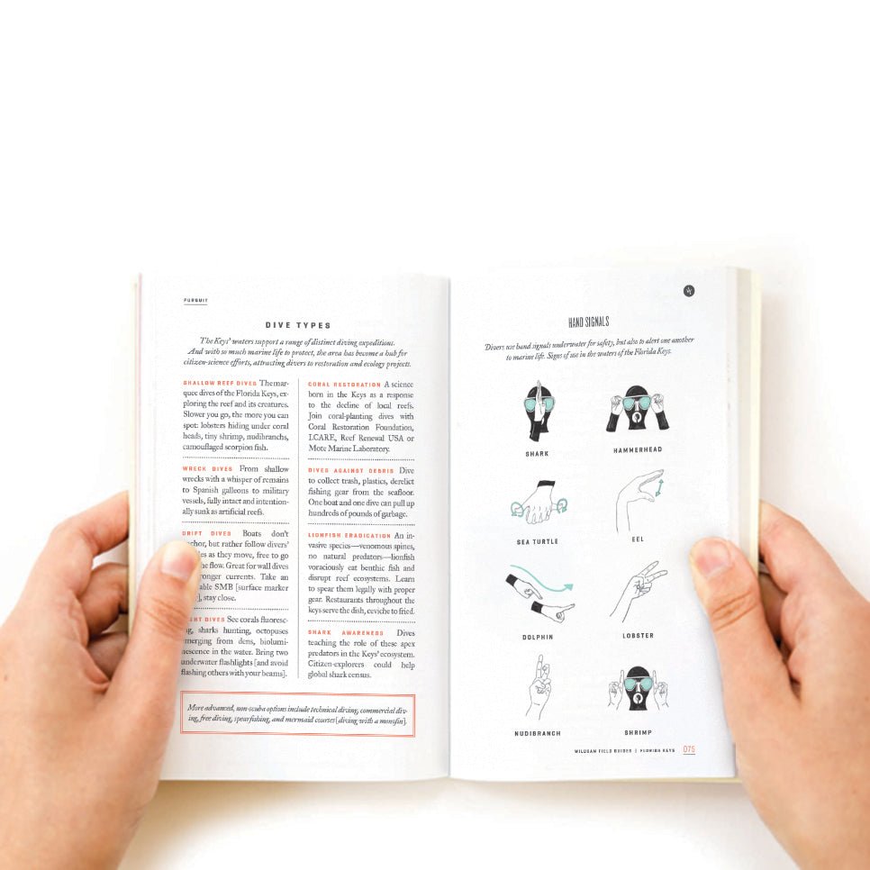Florida Keys Field Guide - Wander Together Outfitters
