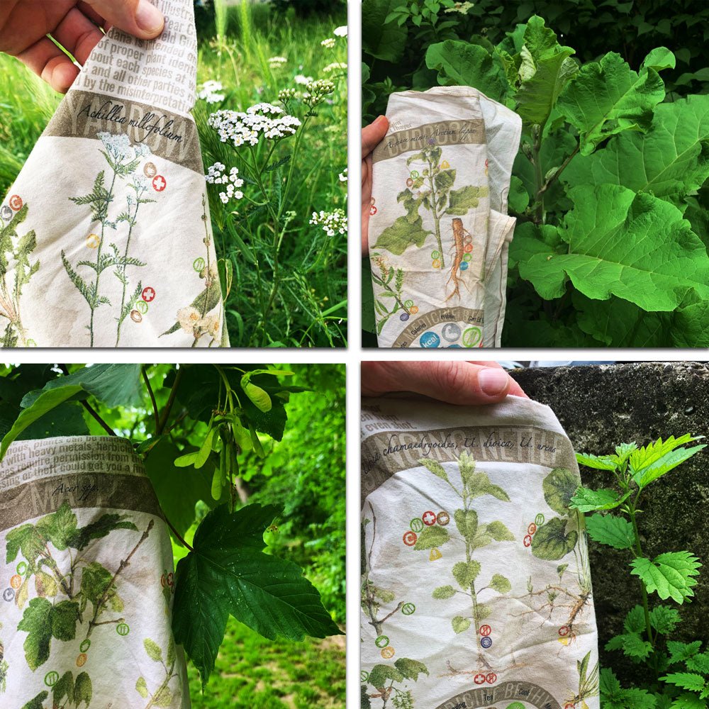 Foraging Bandana - Wander Together Outfitters