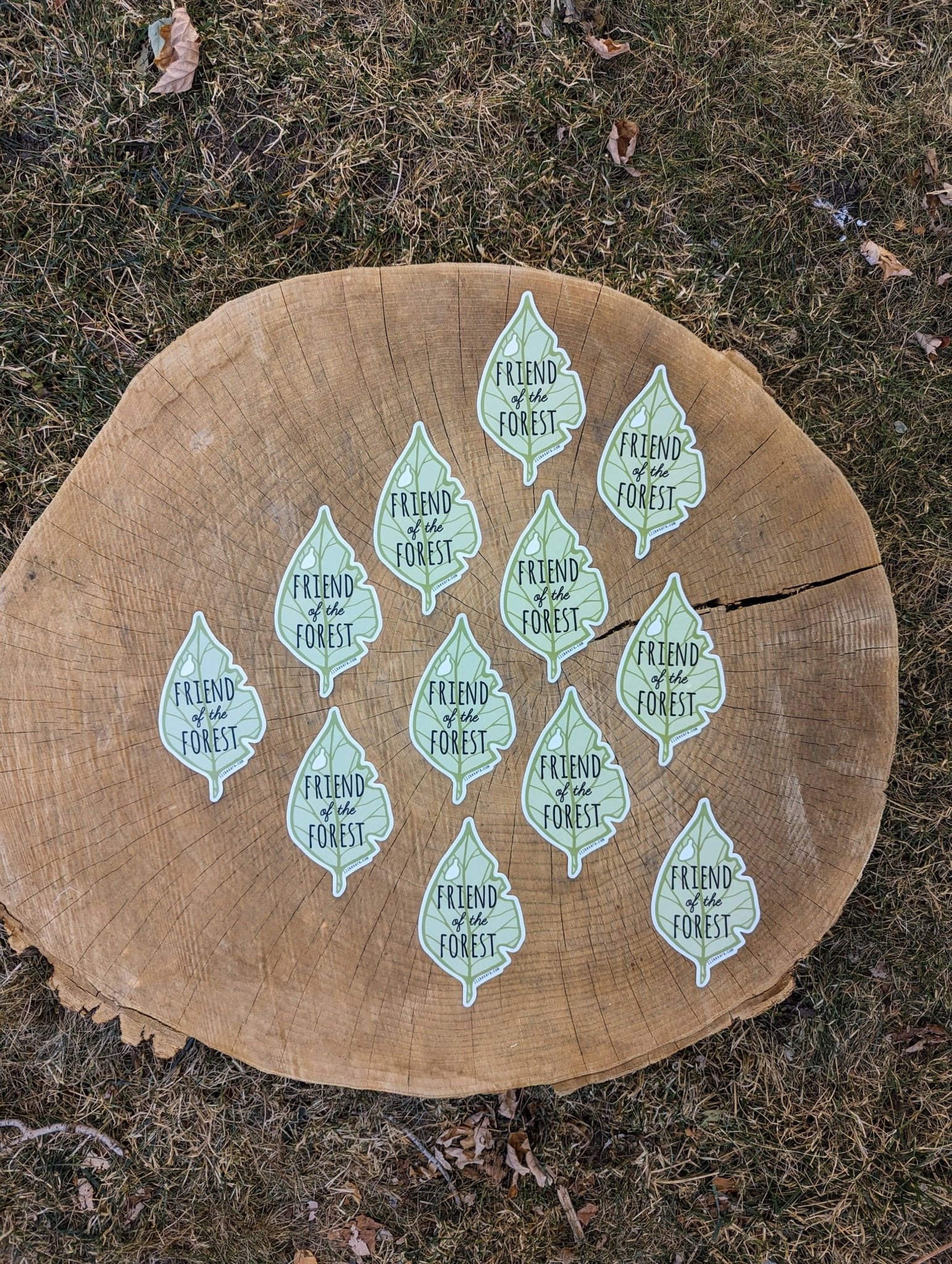 "Friend of the Forest" Leaf Sticker - Wander Together Outfitters