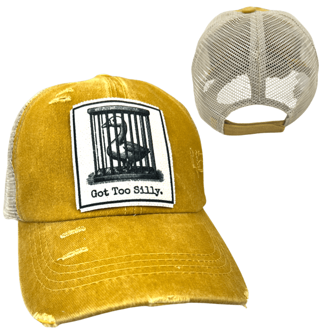 "Got Too Silly" Distressed Unisex Cap - Wander Together Outfitters
