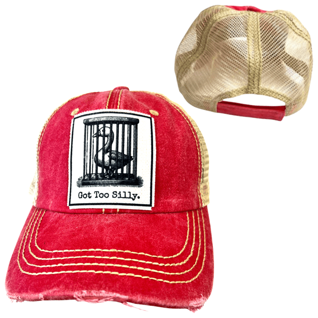 "Got Too Silly" Distressed Unisex Cap - Wander Together Outfitters
