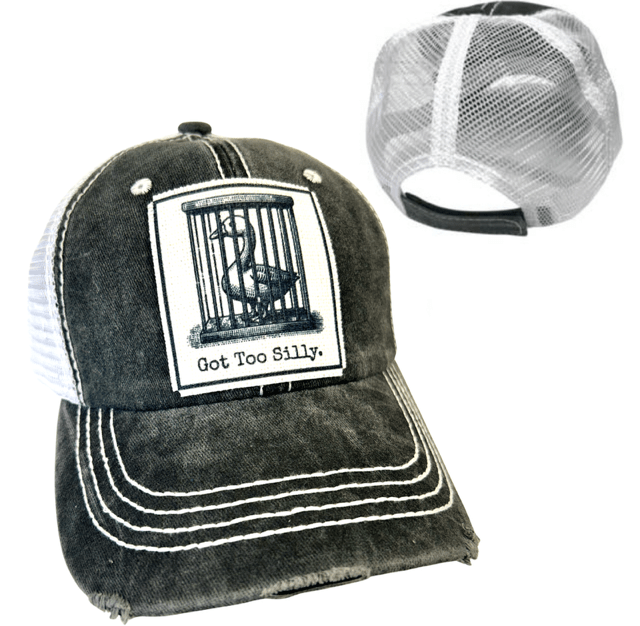 "Got Too Silly" Distressed Unisex Cap - Wander Together Outfitters