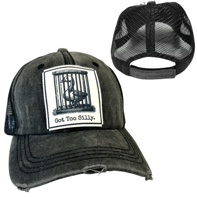"Got Too Silly" Distressed Unisex Cap - Wander Together Outfitters