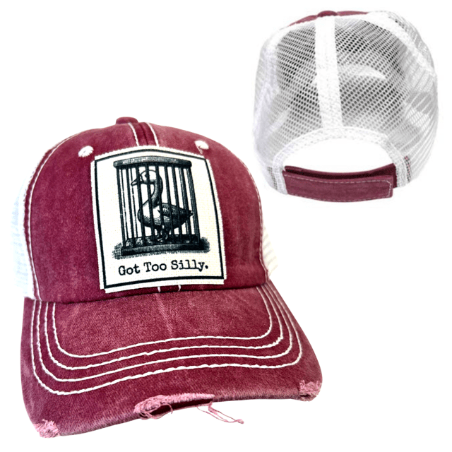 "Got Too Silly" Distressed Unisex Cap - Wander Together Outfitters