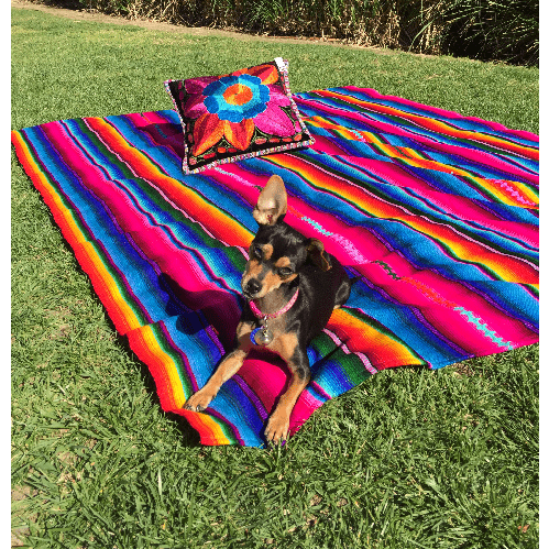 Hacienda Sarape Striped Colorful Blanket - Guatemala - Wander Together Outfitters