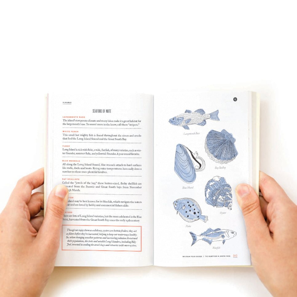 Hamptons & North Fork Field Guide - Wander Together Outfitters