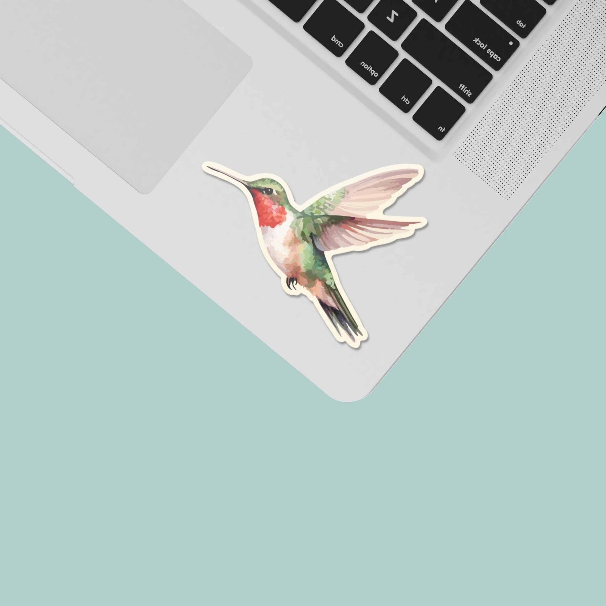 Hummingbird Sticker - Mini Birdwatching Decal - Wander Together Outfitters