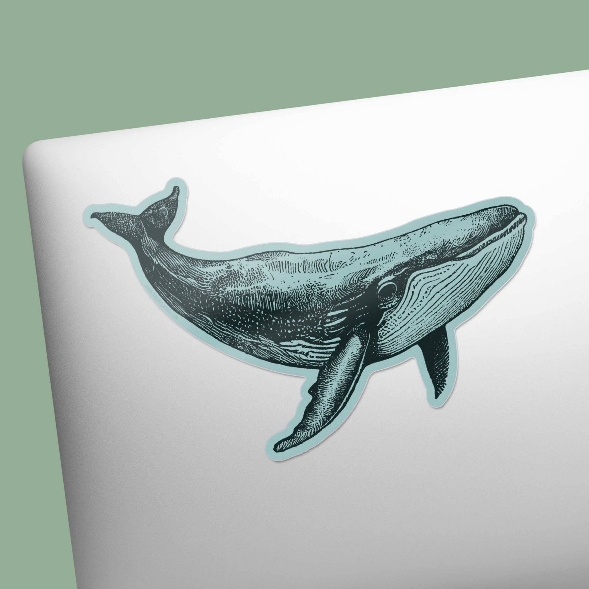 Humpback Whale Sticker - Wander Together Outfitters