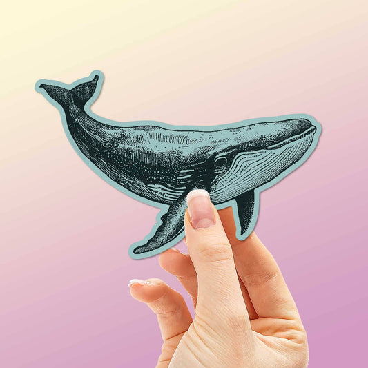 Humpback Whale Sticker - Wander Together Outfitters