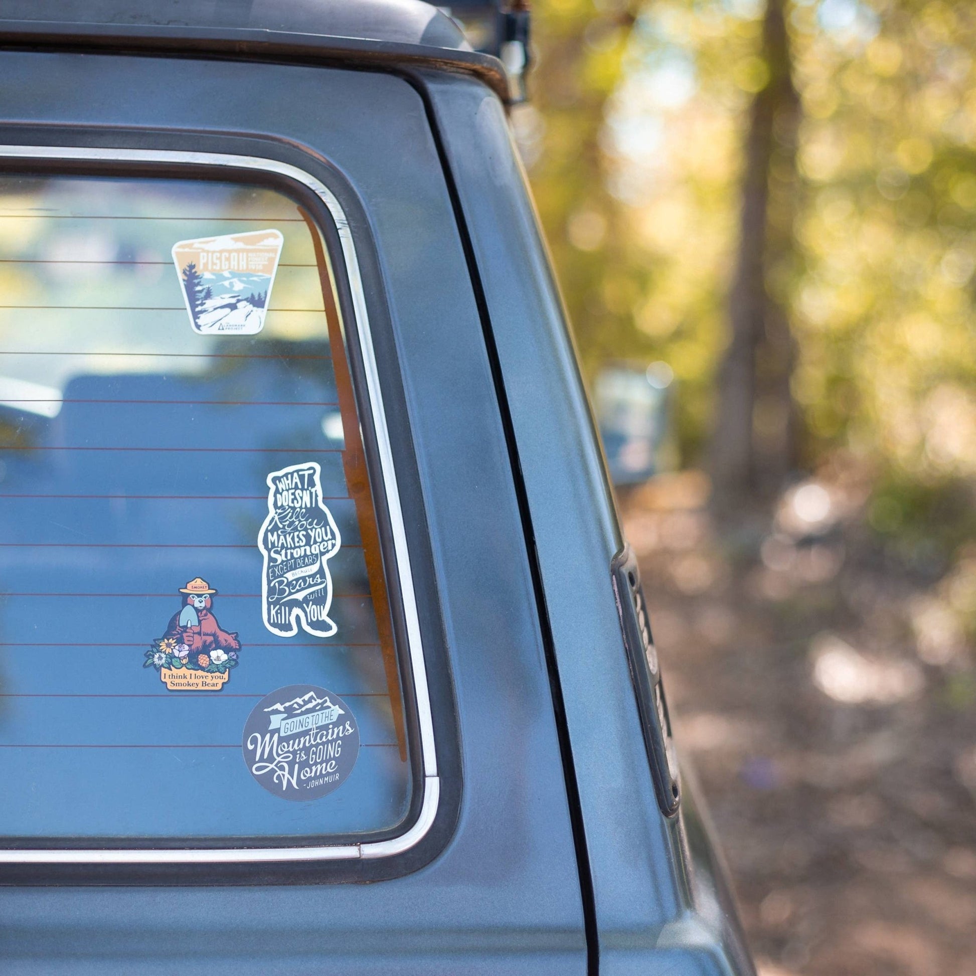 "I Think I Love You Smokey Bear" Sticker - Wander Together Outfitters