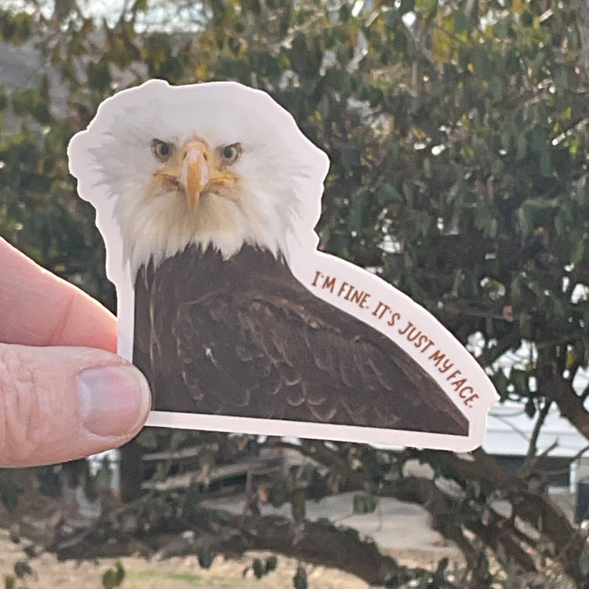 “I'm Fine, It's Just My Face” Eagle Funny 3" Vinyl Sticker - Wander Together Outfitters