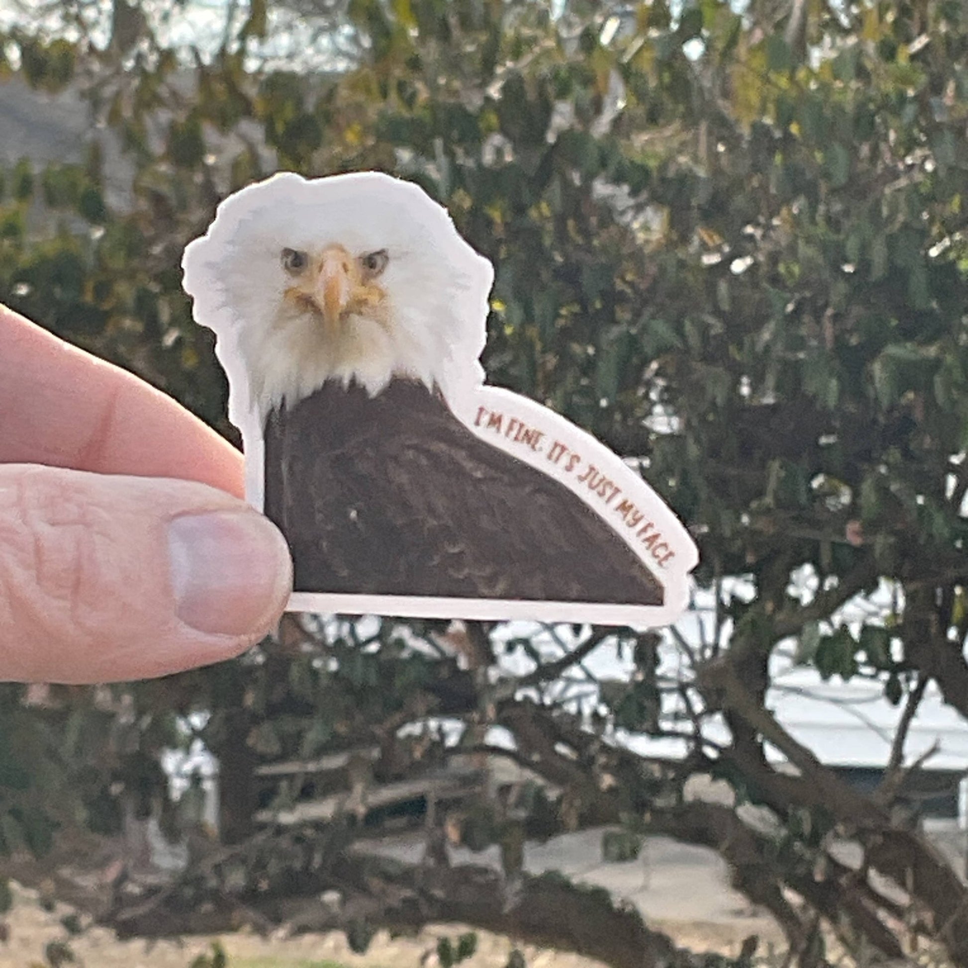 “I'm Fine, It's Just My Face” Eagle Funny 3" Vinyl Sticker - Wander Together Outfitters