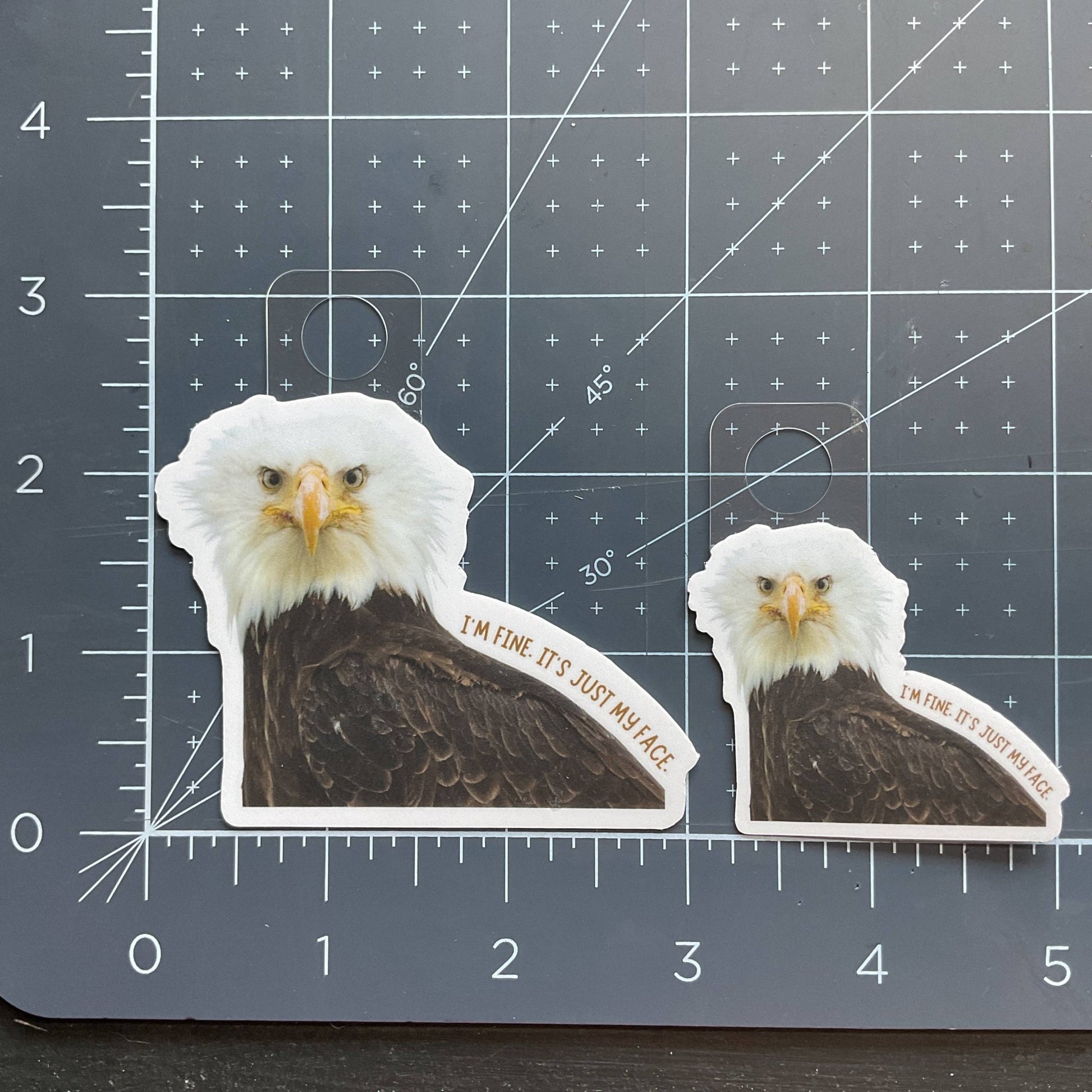 “I'm Fine, It's Just My Face” Eagle Funny 3" Vinyl Sticker - Wander Together Outfitters