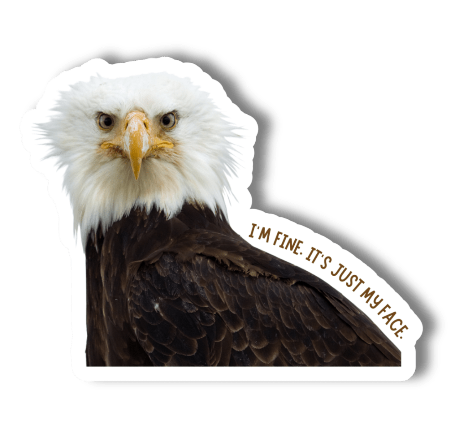 “I'm Fine, It's Just My Face” Eagle Funny 3" Vinyl Sticker - Wander Together Outfitters