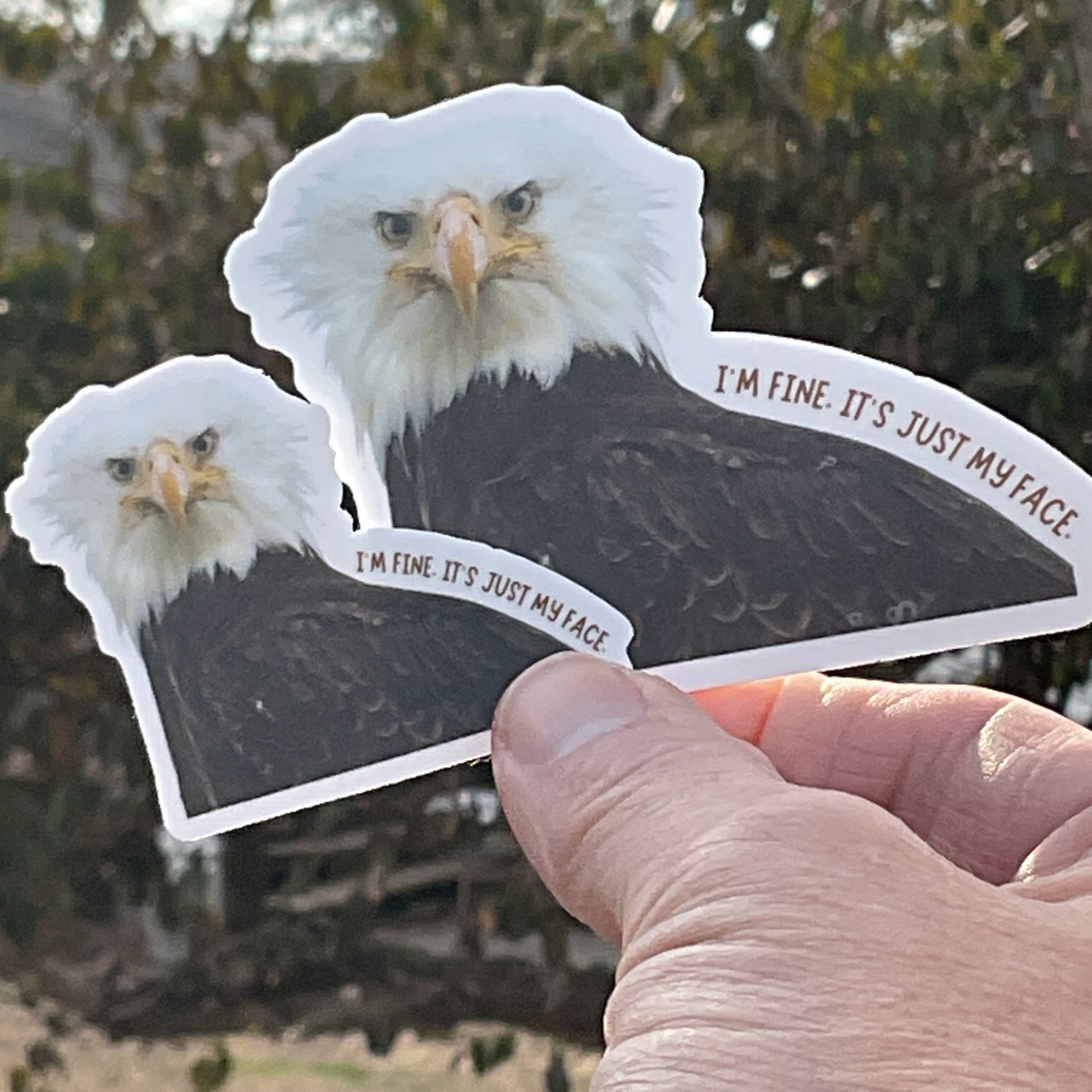 “I'm Fine, It's Just My Face” Eagle Funny 3" Vinyl Sticker - Wander Together Outfitters