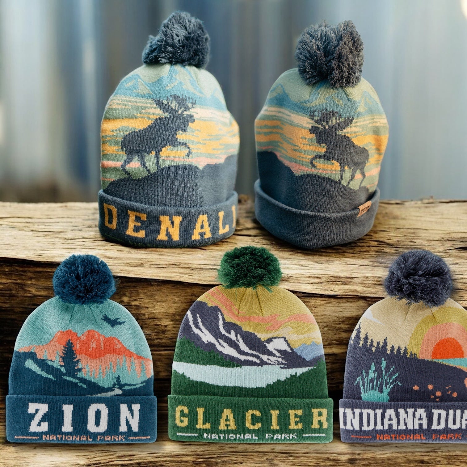 Indiana Dunes National Park Removable PomPom Beanie - Wander Together Outfitters