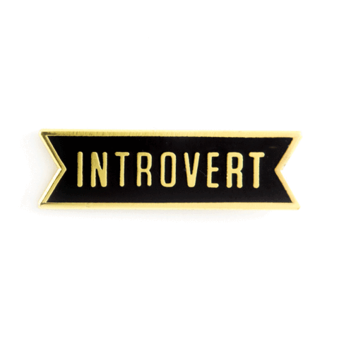 Introvert Enamel Pin - Wander Together Outfitters