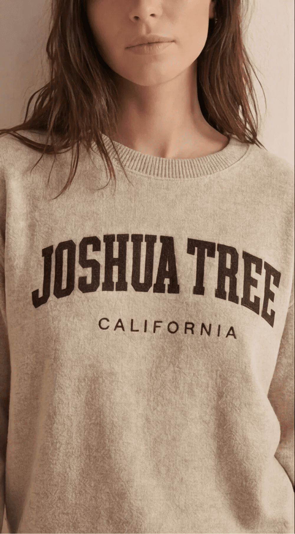 Joshua Tree Embroidered Sweatshirt - Wander Together Outfitters