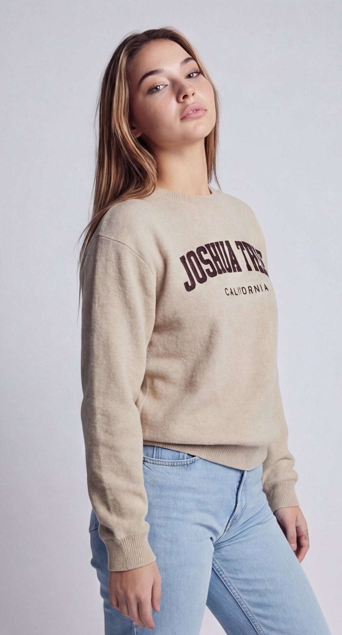 Joshua Tree Embroidered Sweatshirt - Wander Together Outfitters