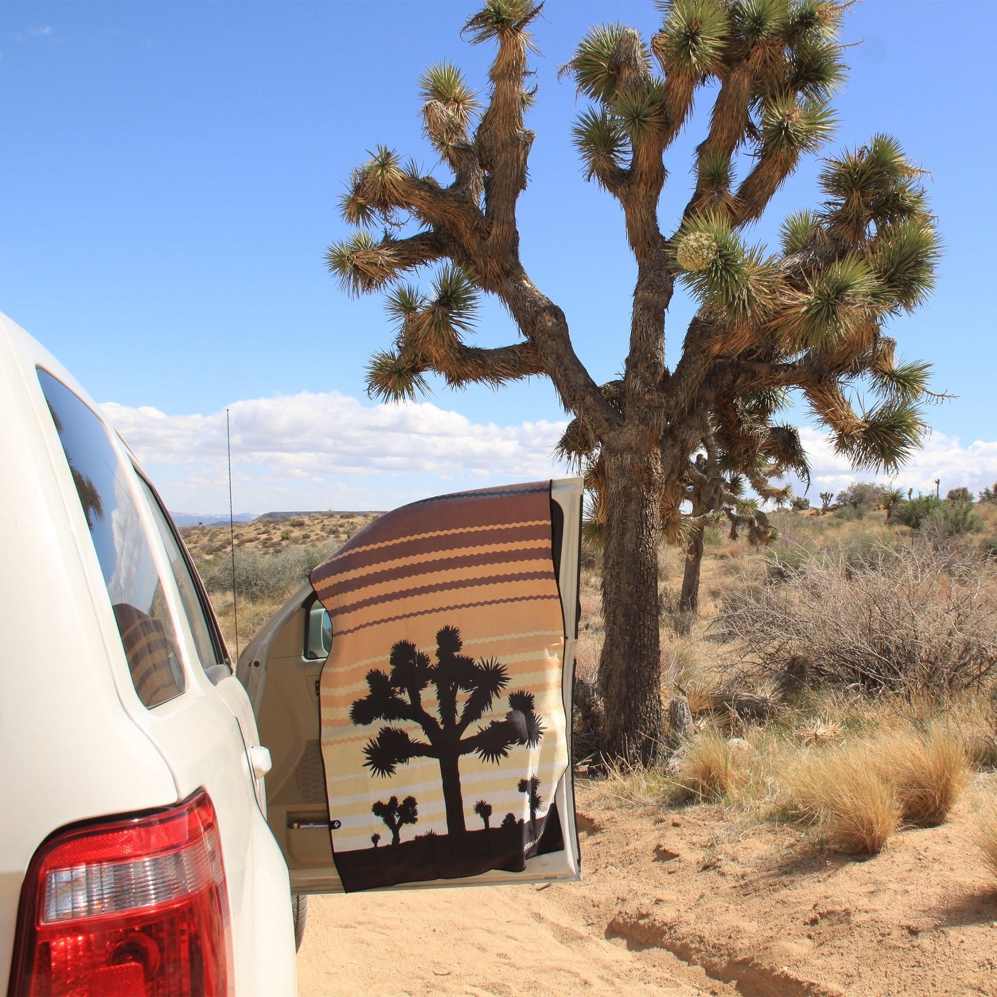 Joshua Tree National Park Quick Dry Original Towel - Wander Together Outfitters