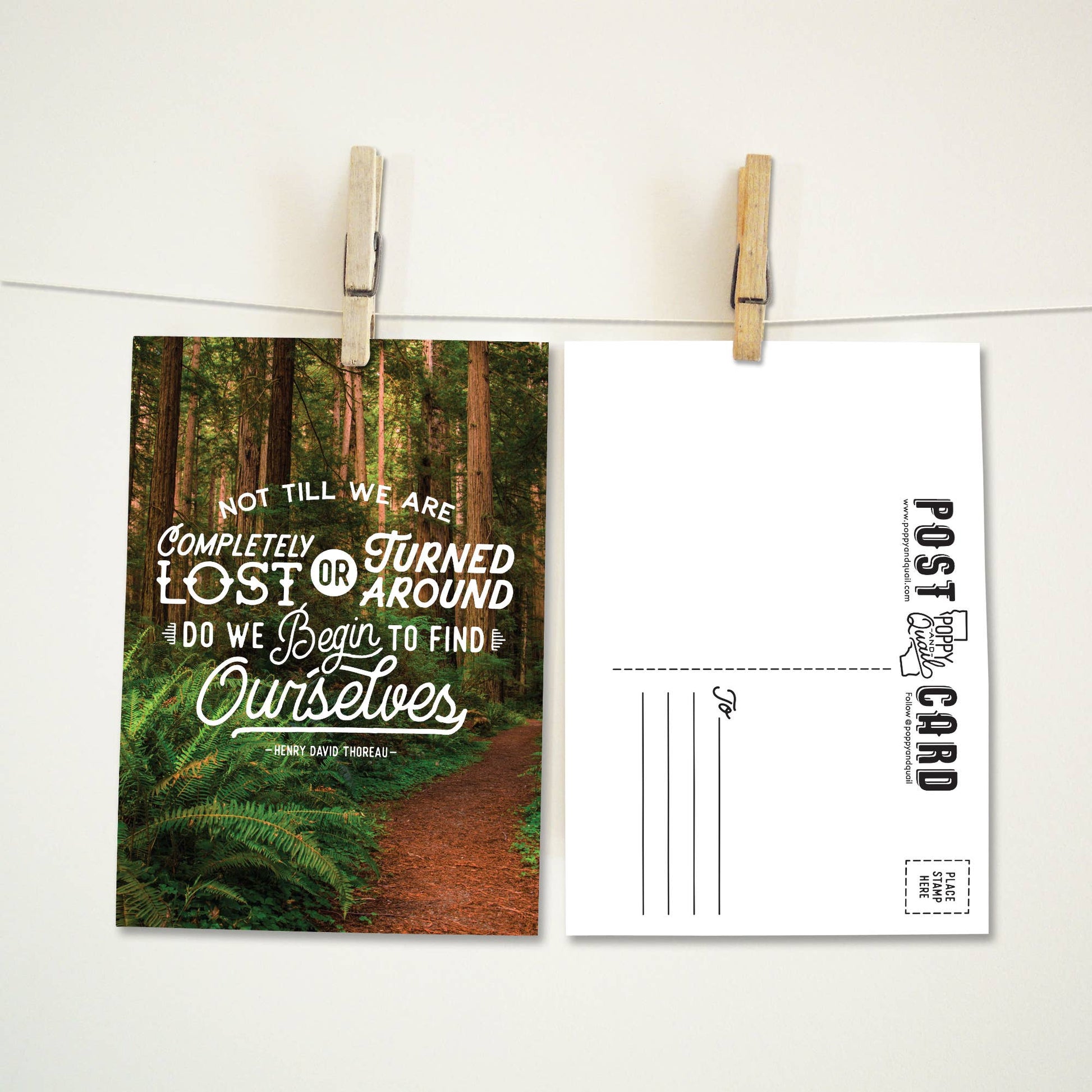 Lost Forest Postcards - Wander Together Outfitters