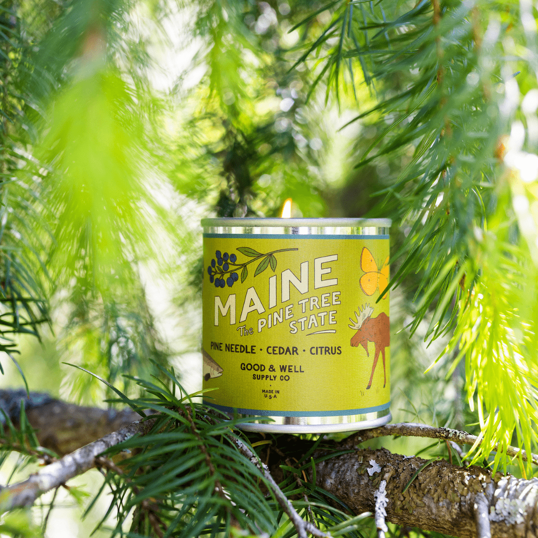 Maine State Candle (Pine, Cedar, Citrus) - Wander Together Outfitters