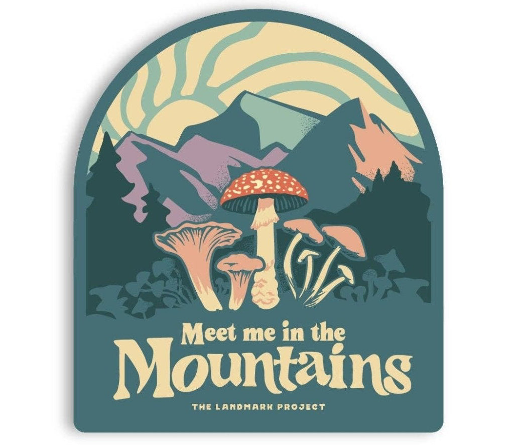 "Meet Me in the Mountains" Vinyl Sticker - Wander Together Outfitters