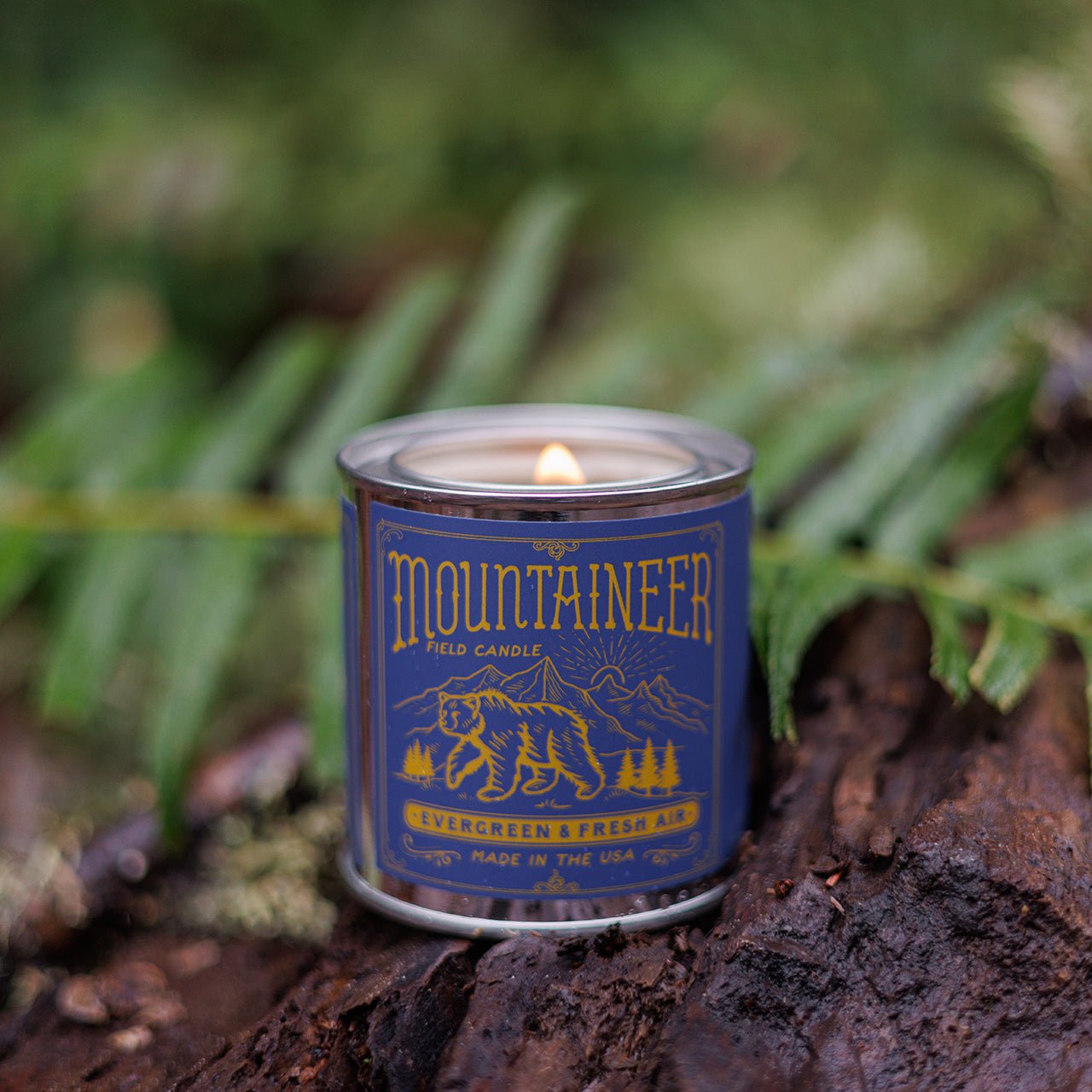 Mountaineer Field Candle (Evergreen, Cypress) - Wander Together Outfitters