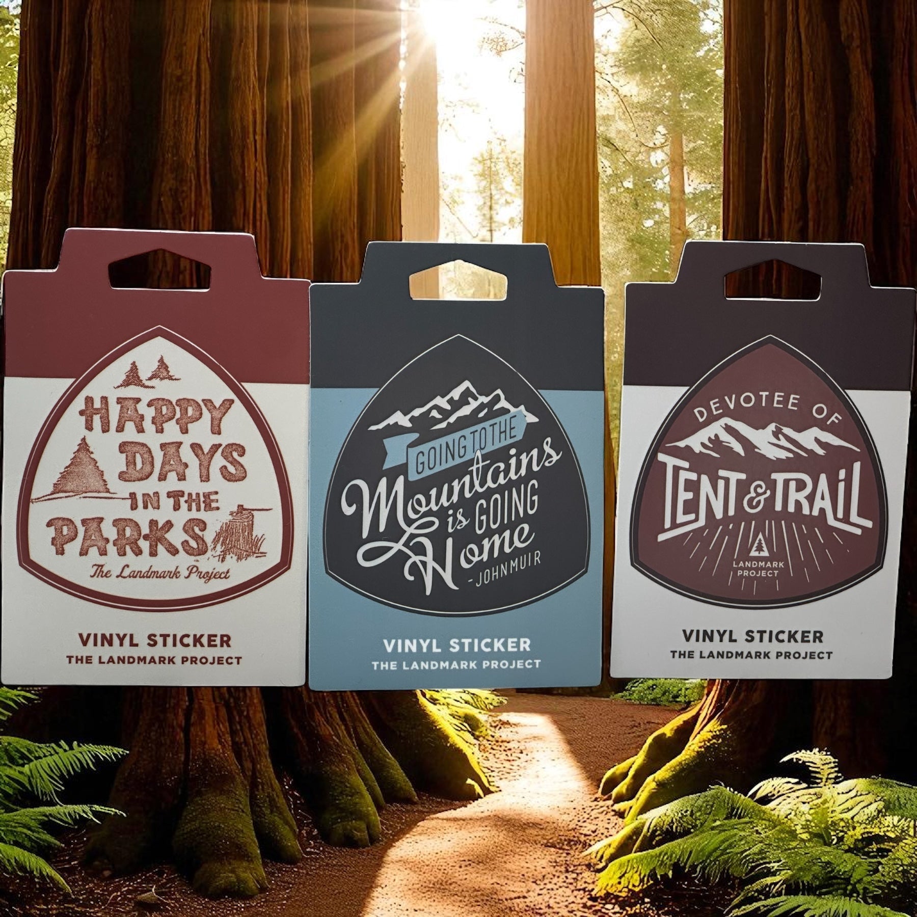 “Mountains to Sea Trail” Sticker Decal (SALE) - Wander Together Outfitters