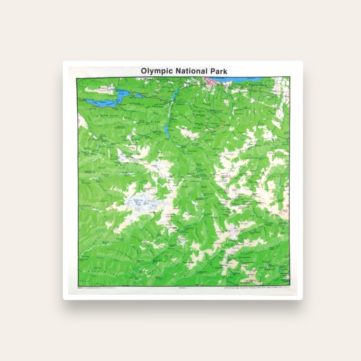 National Park & Forest Map Bandanas – 25 Options - Wander Together Outfitters