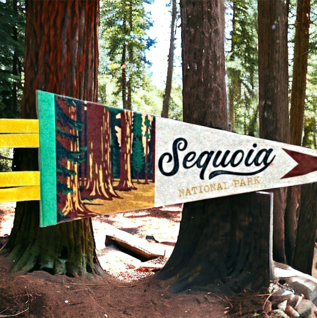 National Parks Mini Felt Pennants – Collect Them All - Wander Together Outfitters