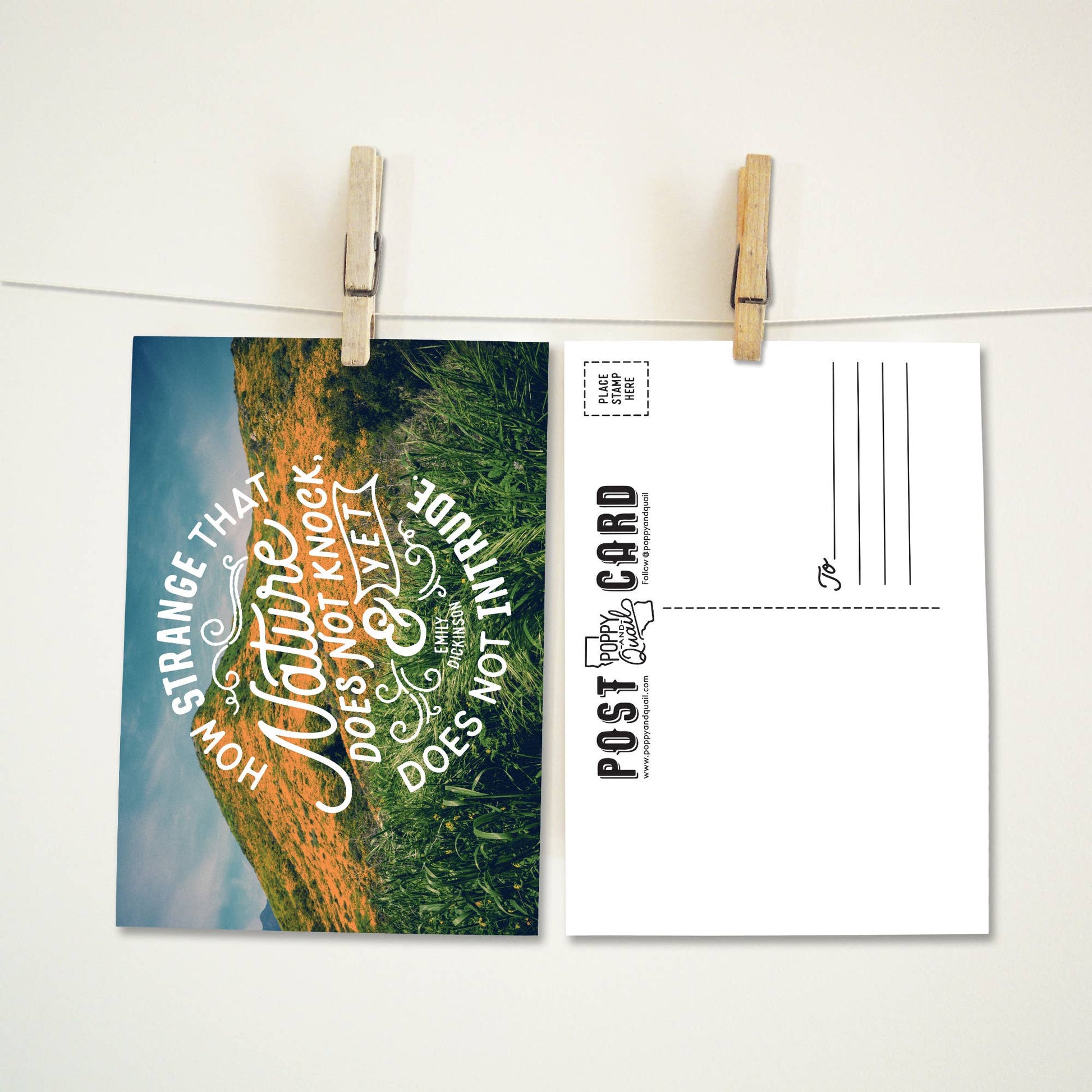 "Nature Does Not Knock" Premium Postcards - Wander Together Outfitters