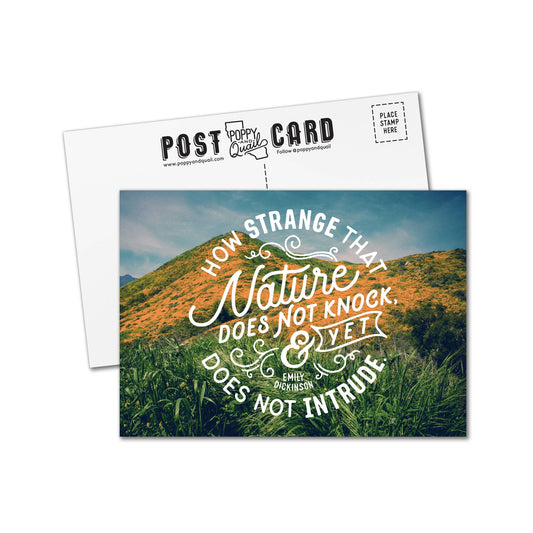 "Nature Does Not Knock" Premium Postcards - Wander Together Outfitters