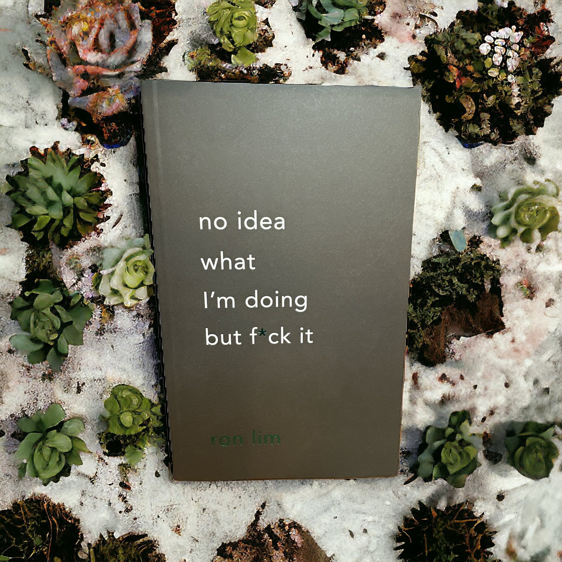 "No Idea What I'm Doing But F*** It" Book - Wander Together Outfitters