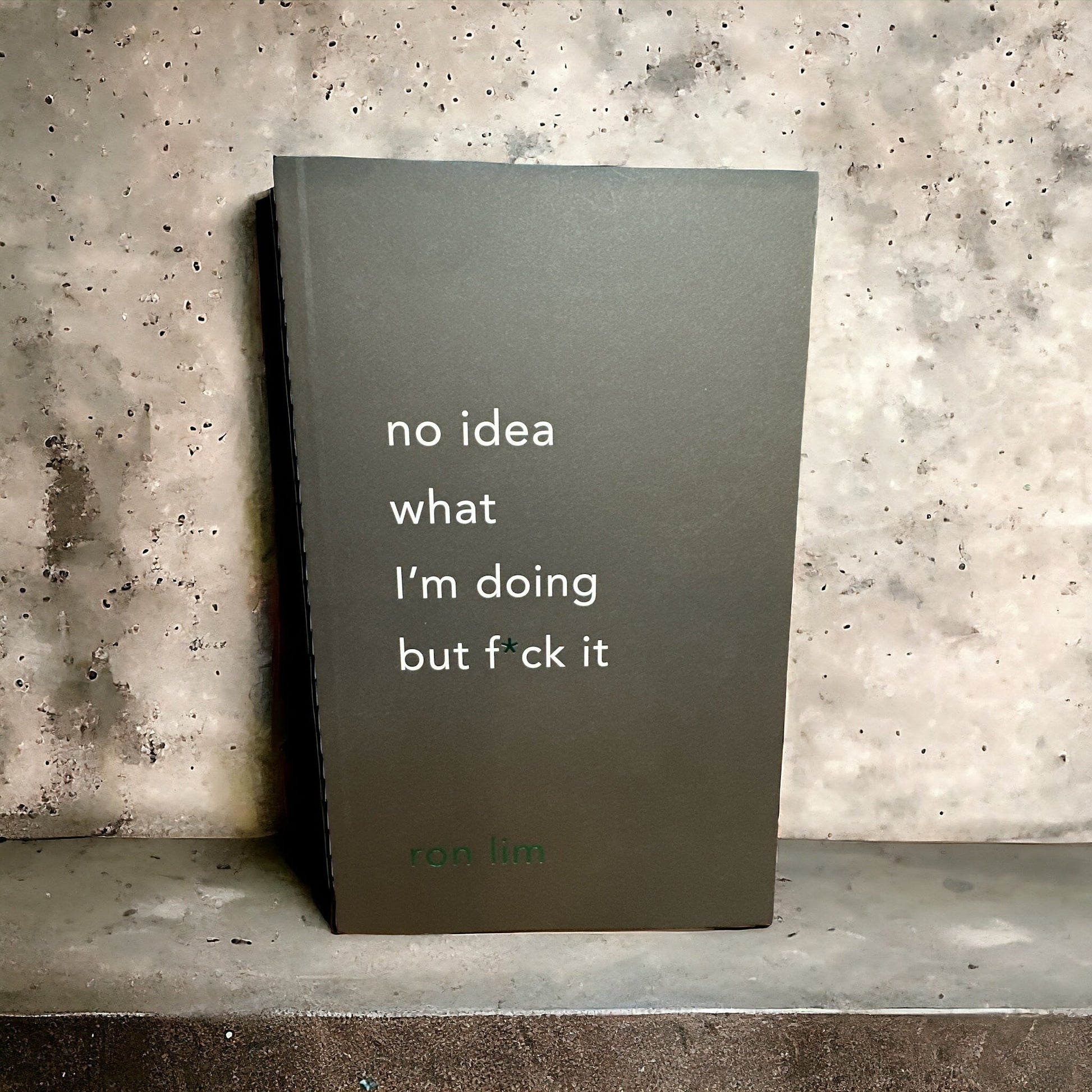 "No Idea What I'm Doing But F*** It" Book - Wander Together Outfitters